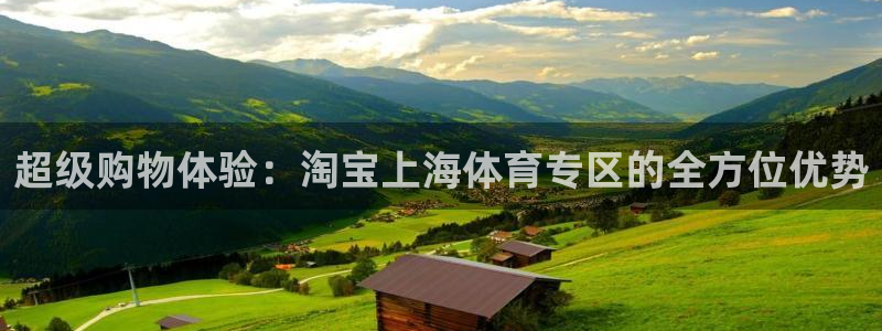 超级购物体验：淘宝上海体育专区的全方位优势