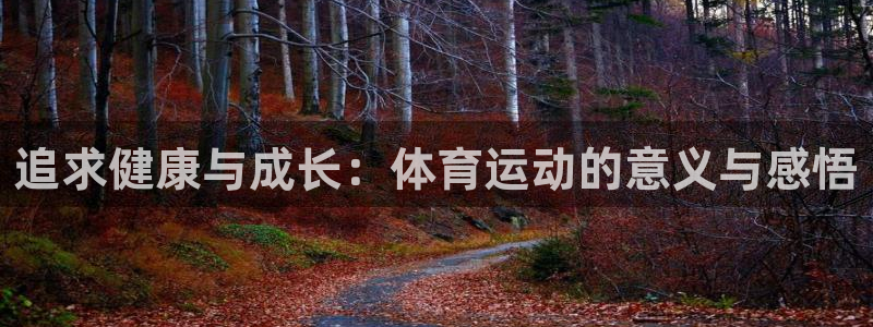 追求健康与成长：体育运动的意义与感悟