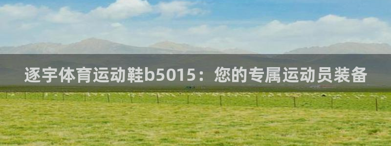 逐宇体育运动鞋b5015：您的专属运动员装备