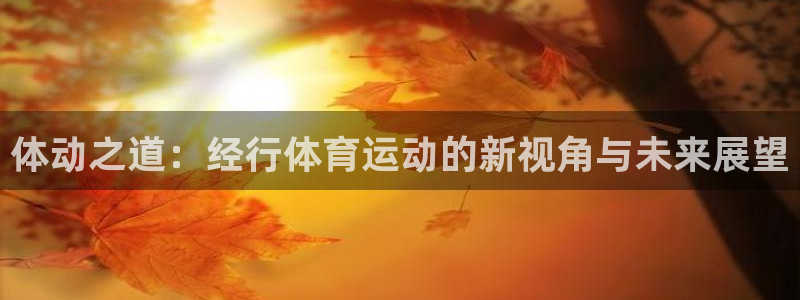体动之道：经行体育运动的新视角与未来展望