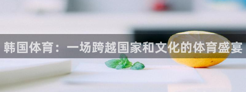 韩国体育：一场跨越国家和文化的体育盛宴