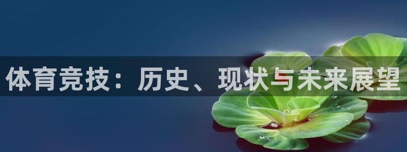 体育竞技：历史、现状与未来展望