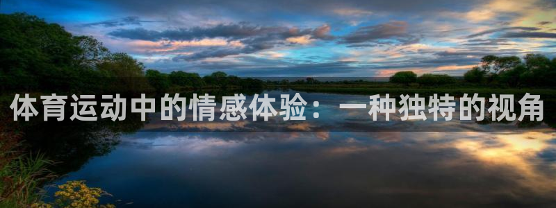 体育运动中的情感体验：一种独特的视角