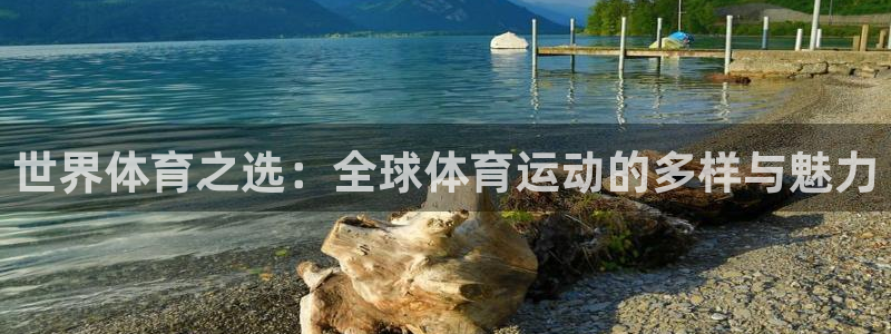 世界体育之选：全球体育运动的多样与魅力