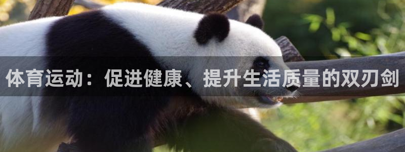 体育运动：促进健康、提升生活质量的双刃剑
