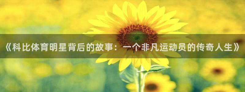 《科比体育明星背后的故事：一个非凡运动员的传奇人生》