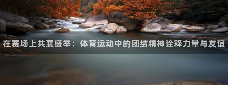 在赛场上共襄盛举：体育运动中的团结精神诠释力量与友谊